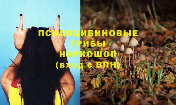 кокс Абаза