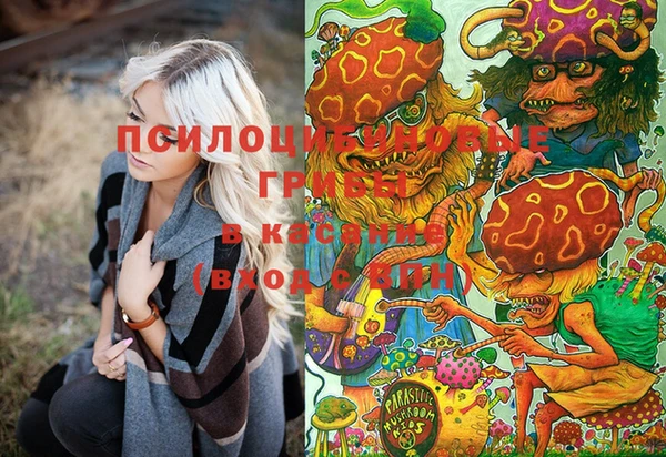 МДПВ Абдулино