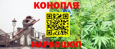кокс Донской